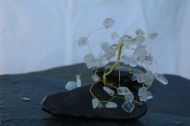 Clear Quartz